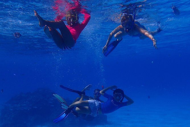 Bora Bora: Luxury Private Half Day Snorkeling Tour - FAQs