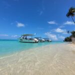 Bora Bora: Morning 2 tank dive for certified divers - The Logistics and Value