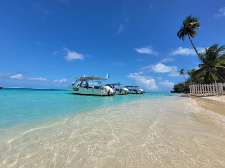 Bora Bora: Morning 2 tank dive for certified divers - The Logistics and Value