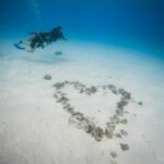 Bora Bora: Romantic Dive for Two People (Beginners) - Final Thoughts