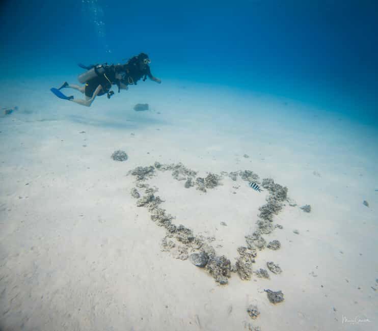 Bora Bora: Romantic Dive for Two People (Beginners) - Final Thoughts
