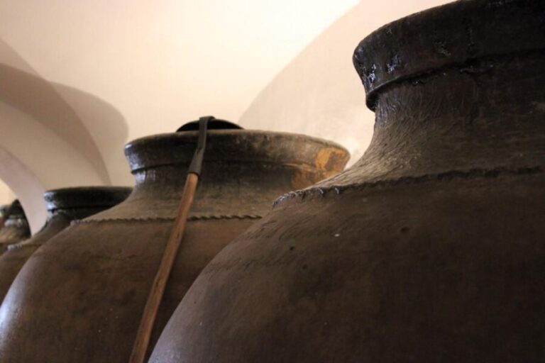 Borba: Winery Tour with Wine and Alentejo Products Tasting - A Closer Look at the Borba Winery Tour