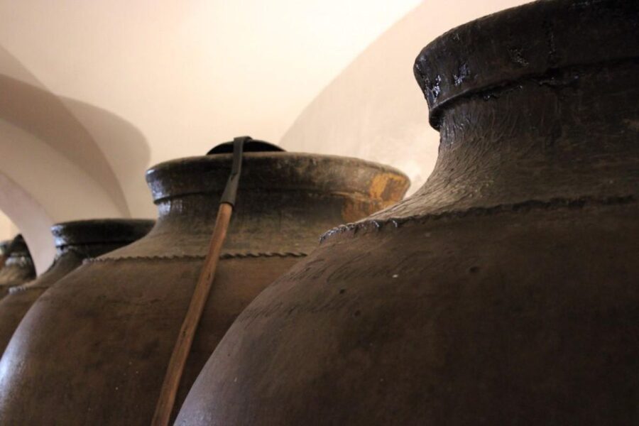 Borba: Winery Tour with Wine and Alentejo Products Tasting - A Closer Look at the Borba Winery Tour