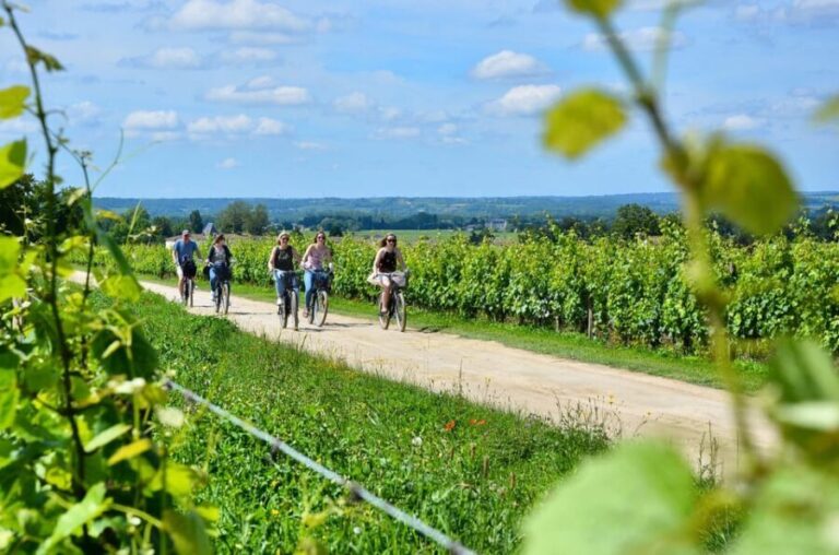 Bordeaux Backcountry E-Bike Tour with Lunch & Wine Tasting - What Our Guests Say