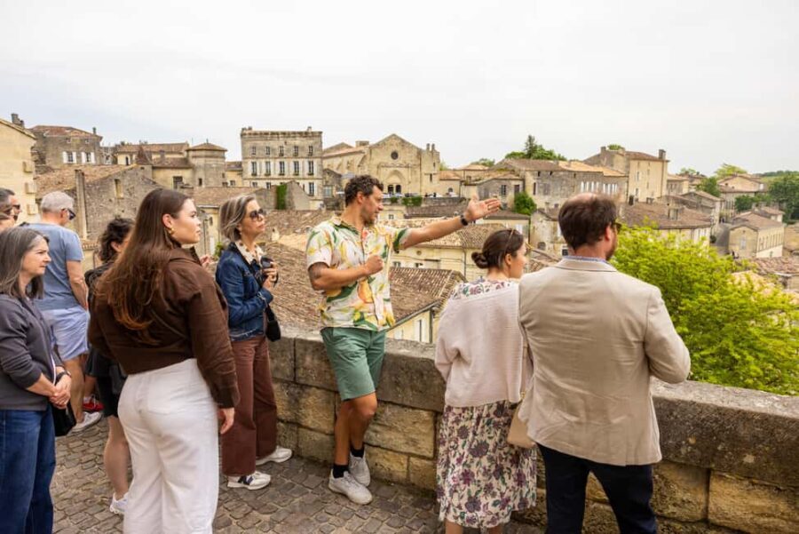 Bordeaux Full Day Wine Tour - 3 Wineries & Picnic Lunch - Price and Value