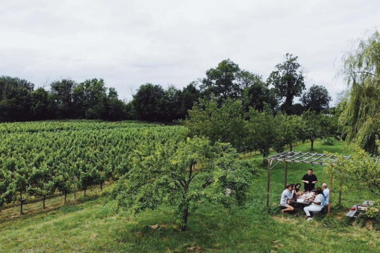 Bordeaux: Half-Day Private Natural Wine Tour & Tasting - A Closer Look at the Bordeaux Natural Wine Tour
