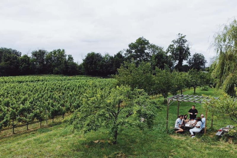 Bordeaux: Half-Day Private Natural Wine Tour & Tasting - A Closer Look at the Bordeaux Natural Wine Tour