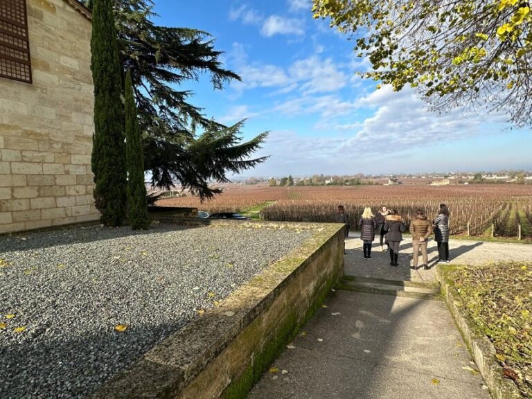 Bordeaux: Saint-Émilion wine tour in a small group - In-Depth Review: Bordeaux’s Saint-Émilion Small-Group Wine Tour