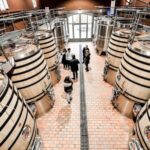 Bordeaux: St-Emilion and Medoc Wine Day Tour with Lunch - A Deep Dive Into the Bordeaux Day Tour Experience