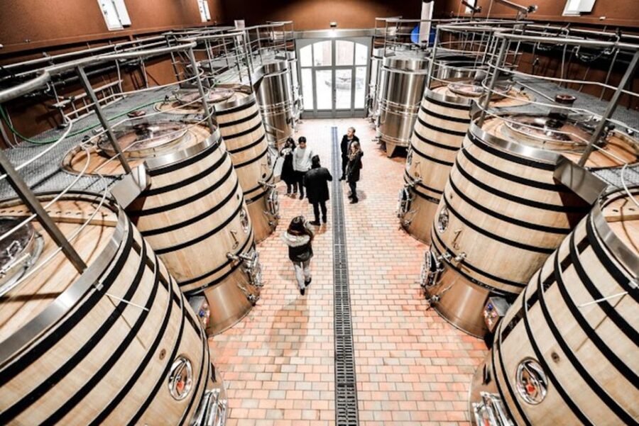 Bordeaux: St-Emilion and Medoc Wine Day Tour with Lunch - A Deep Dive Into the Bordeaux Day Tour Experience