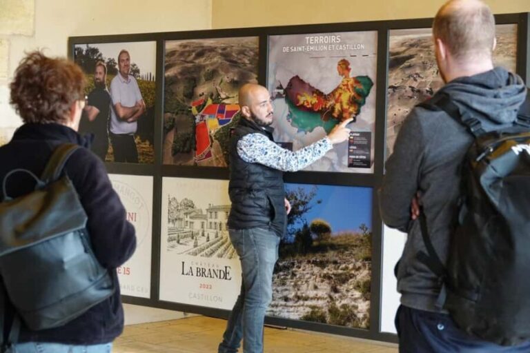 Bordeaux: St. Emilion Wine and E-Bike Tour with Lunch - Exploring the Details of the Tour
