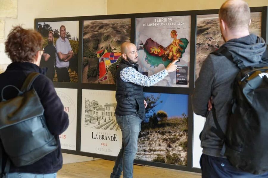 Bordeaux: St. Emilion Wine and E-Bike Tour with Lunch - Exploring the Details of the Tour