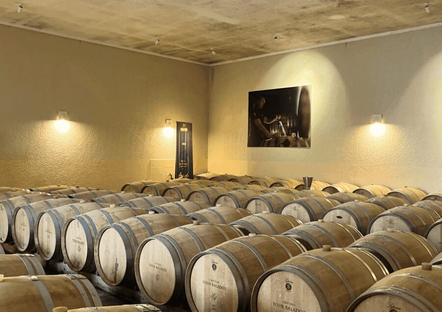 Bordeaux : Unforgettable Saint Emilion Half Day Wine Tour - A Deep Dive into the Experience
