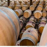 Bordeaux: Visit to Château de Reignac and prestige tasting - A Closer Look at the Château de Reignac Experience