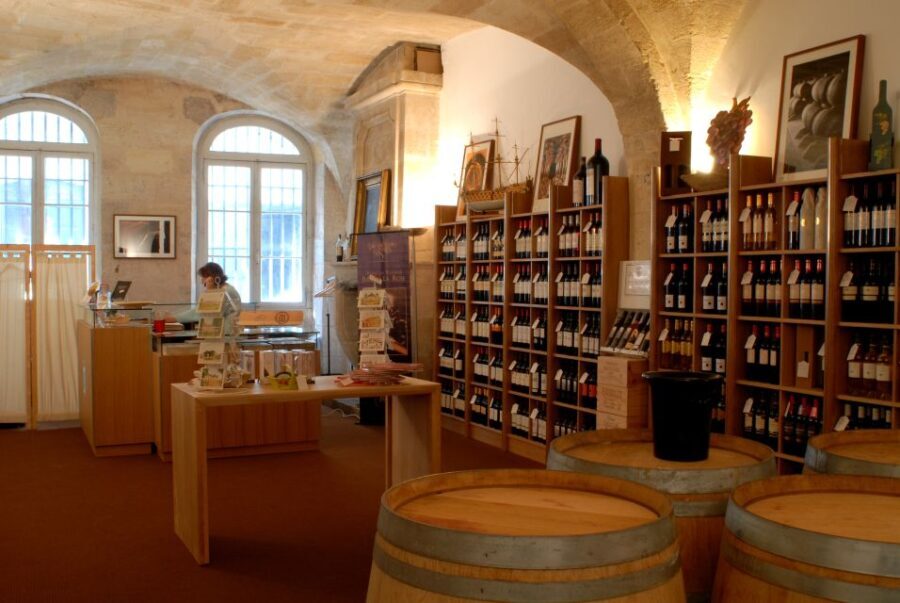 Bordeaux: Wine and Trade Museum Entry Ticket & Wine Tasting - Who Should Consider This Tour?