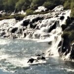 Borgarfjordur - private tour - Why This Tour Offers Great Value