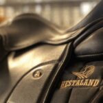 Borgarnes: Horseback Riding Tour with Prep Lesson - A Closer Look at the Tour Experience