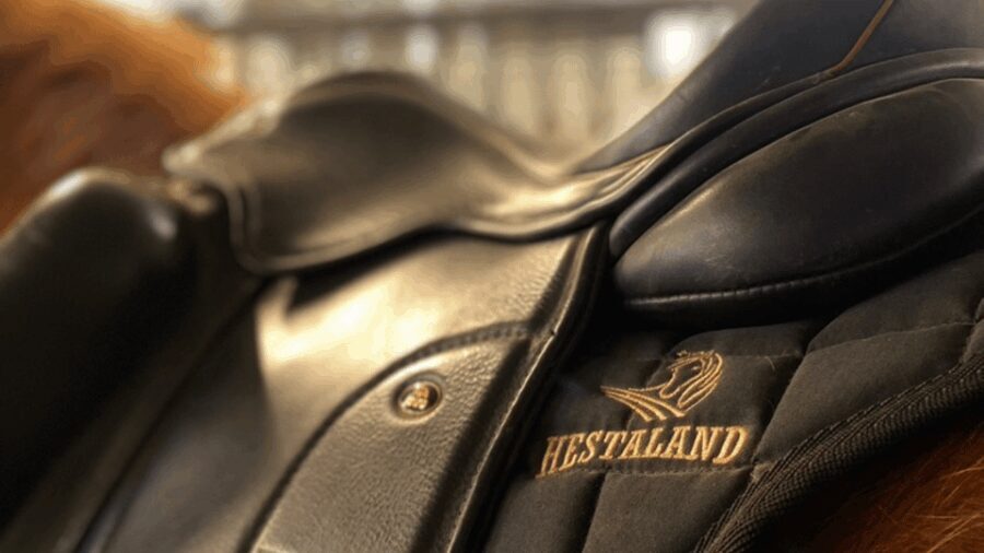 Borgarnes: Horseback Riding Tour with Prep Lesson - A Closer Look at the Tour Experience