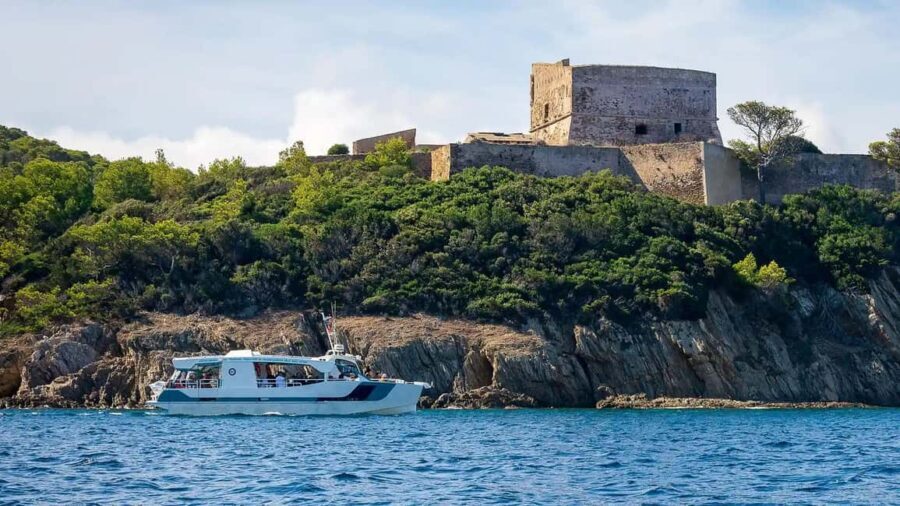 Bormes-les-Mimosas: Hybrid boat trip to Porquerolles Island - An In-Depth Look at the Experience