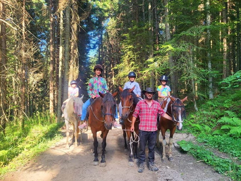 Borovets: Horse Riding Experience - Analyzing the Value