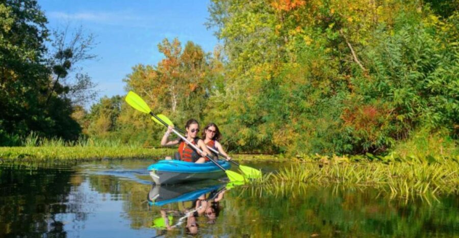 Bosa: Temo River Kayak Rental - Practical Details and Tips