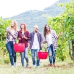 Boscotrecase: Vesuvius Wine Tasting Tour With Lunch - Who Should Consider This Tour?