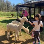 Boshack Farm - Animal, Wildlife, Stargazing Nature Aussie culture - Who Should Consider This Tour?