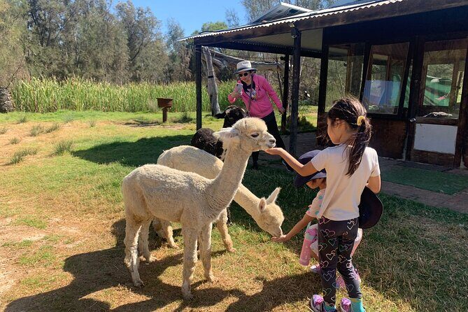 Boshack Farm - Animal, Wildlife, Stargazing Nature Aussie culture - Who Should Consider This Tour?