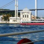 Bosphorus Cruise Tour Istanbul - Who Should Consider This Tour?