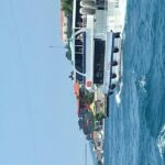 Bosphorus Cruise With Dolmabahçe Palace and Fortresses - Frequently Asked Questions