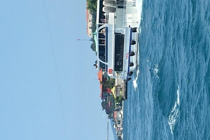 Bosphorus Cruise With Dolmabahçe Palace and Fortresses - Frequently Asked Questions