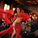 Bosphorus Dinner Cruise and Turkish Night Show (All-inclusive) - Who Should Consider This Tour?