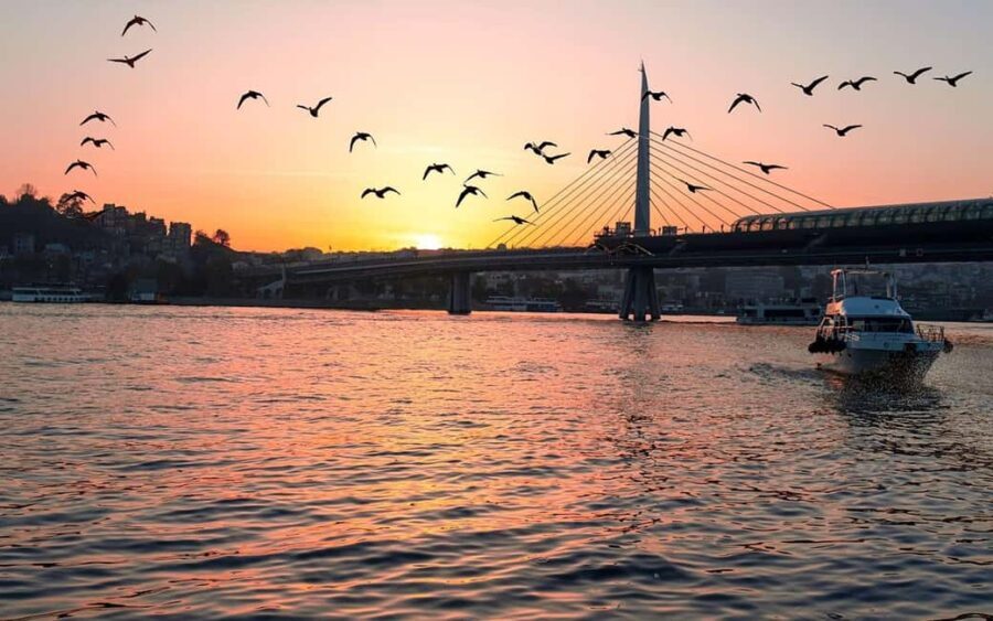 Bosphorus Yacht Tour with a break on the Asia - Authenticity, Comfort, and Practical Tips