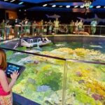 Boston CityPASS® - The Experience: A Day-by-Day Breakdown