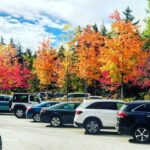 Boston: Fall Foliage Tour - A Town for Lunch and Shopping