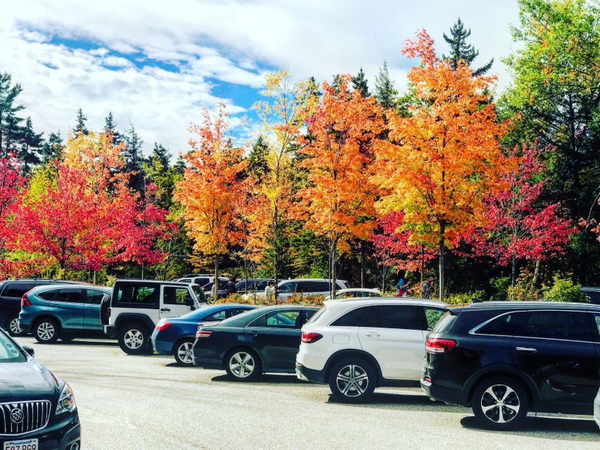 Boston: Fall Foliage Tour - A Town for Lunch and Shopping