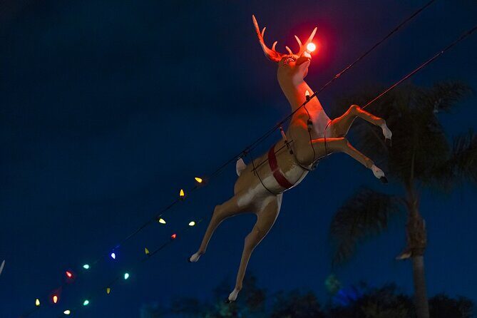 Boston Holiday Sights and Festive Nights Trolley Tour - An In-Depth Look at the Boston Holiday Sights and Festive Nights Trolley Tour