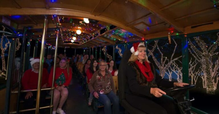 Boston: Holiday Sights and Festive Nights Trolley Tour - Who Will Love This Tour?