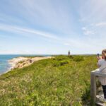 Boston: Martha's Vineyard Day Trip with Optional Island Tour - Authentic Experiences and Highlights