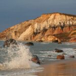 Boston: Martha's Vineyard Day Trip with Optional Island Tour - Who Should Consider This Tour?