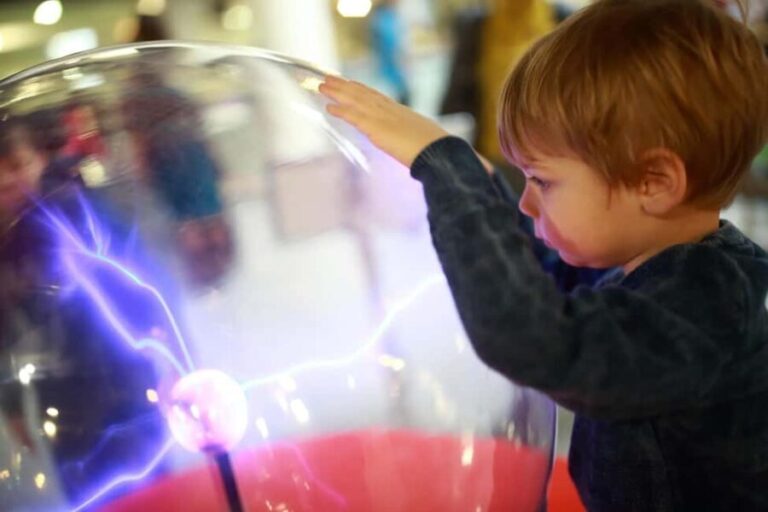 Boston: Museum of Science Skip-the-Line Private Guided Tour - The Itinerary: What to Expect on Your Tour