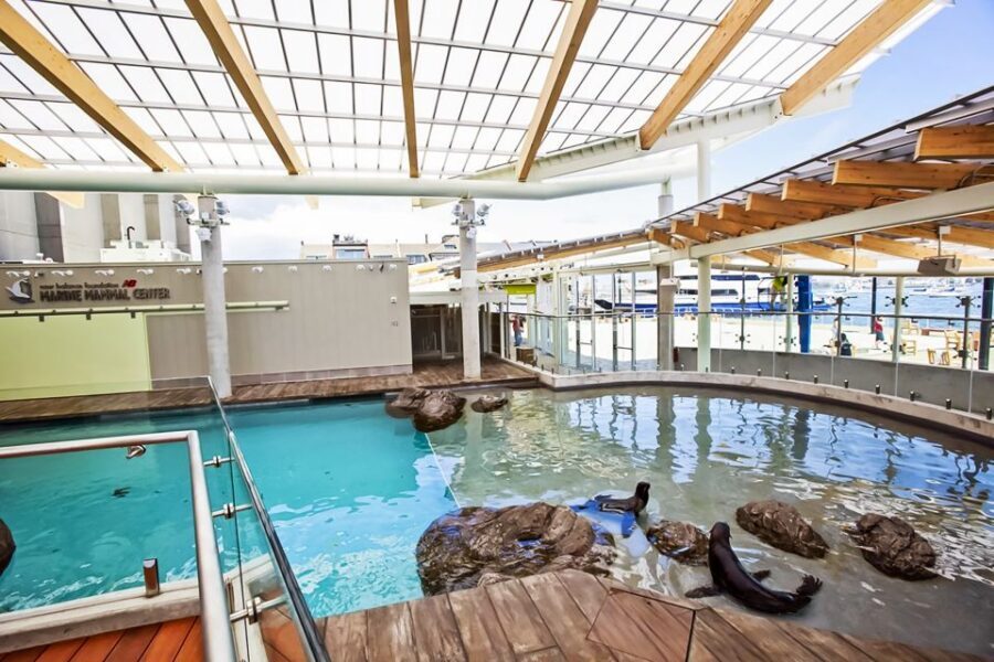 Boston: New England Aquarium Entry + Optional Simons Theatre - The Layout and Main Exhibits