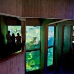 Boston Pass: Save up to 50% - Includes Franklin Park Zoo - Practical Tips for Making the Most of the Boston Pass