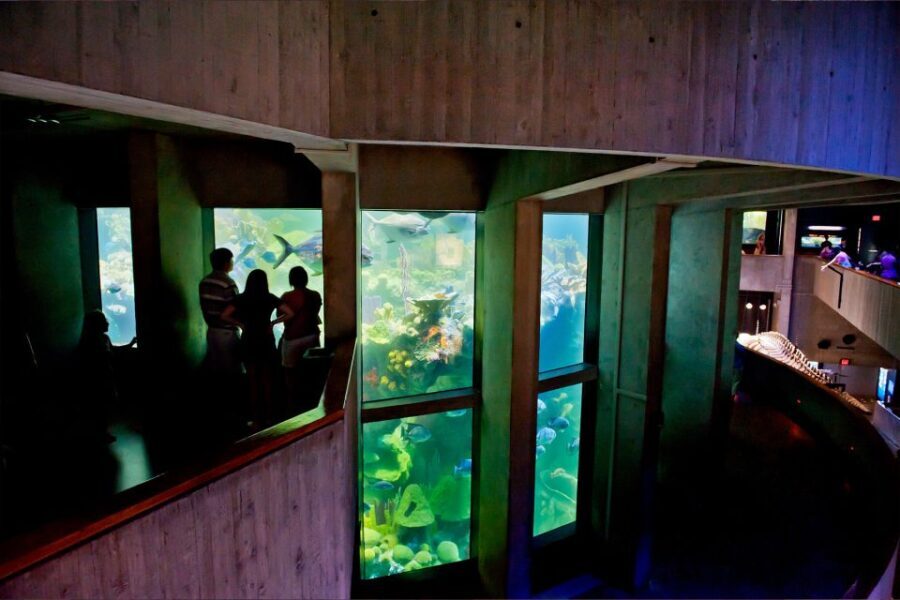 Boston Pass: Save up to 50% - Includes Franklin Park Zoo - Practical Tips for Making the Most of the Boston Pass