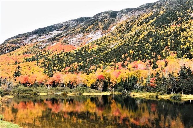 Boston to New Hampshire Fall Foliage White Mountains Day Trip - Why This Tour Works for You