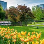 Boston: Votes for Women History Tour of Back Bay - Authentic Experiences and Insights