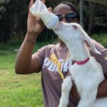 Bottle Feed & Cuddle Baby Goats Tour on Big Island Farm - The Detailed Experience: What to Expect at Ohana Ranch