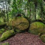 Boulders Scenic Float Tour on the Rangitikei River - Who Should Consider This Tour?