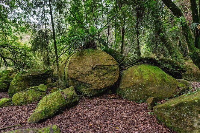 Boulders Scenic Float Tour on the Rangitikei River - Who Should Consider This Tour?