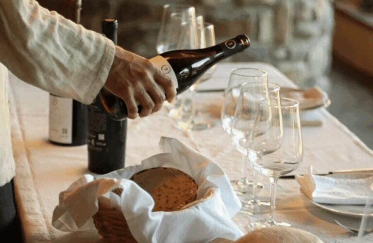 Boutique Winery Tour & Tasting in North Tuscany - A Closer Look at the Experience